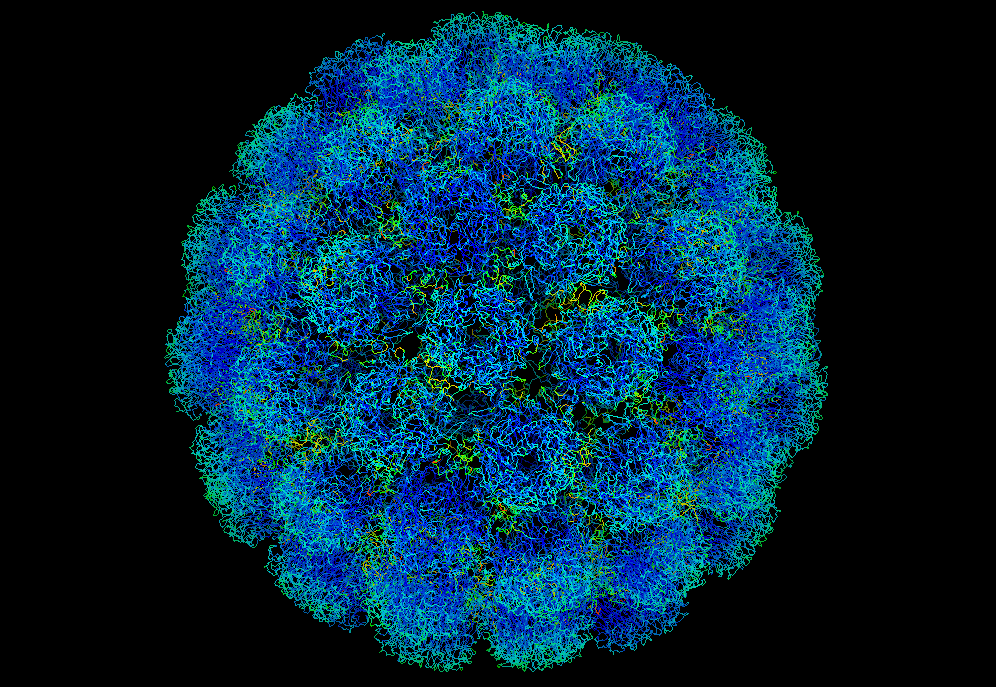 virus-definition-in-biology-types-and-structure-sciencequery