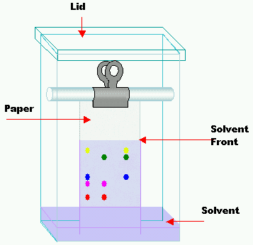 paper chromatography