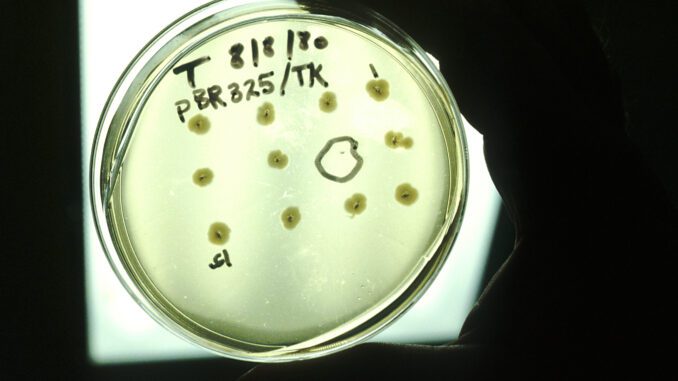 Recombinant DNA Technology