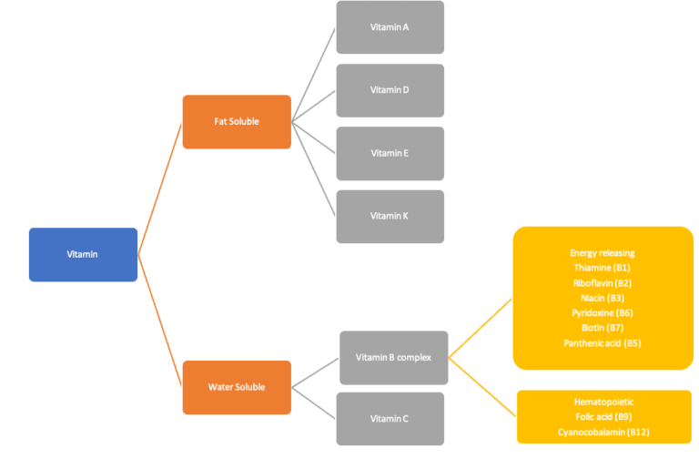 What are vitamins? Classification of vitamins & vitamin sources ...