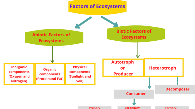 biotic factors in the ecosystem