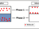 Adsorption vs absorption