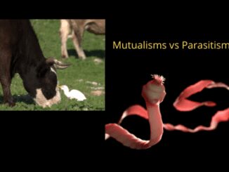Mutualisms vs parasitism