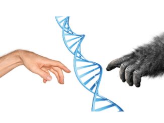 Heredity and evolution