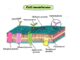 Cell membrane model