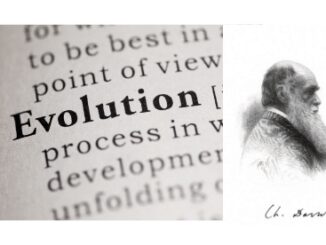 Darwin’s evolution theory