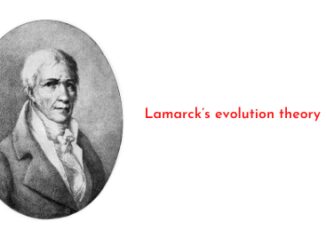Lamarck’s evolution theory