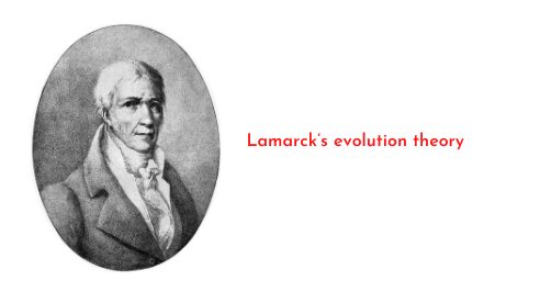 Lamarck’s evolution theory