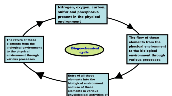 Biogeochemical cycle