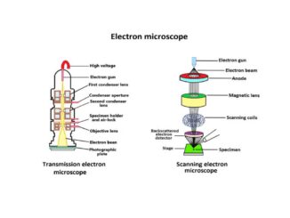 Electron microscope