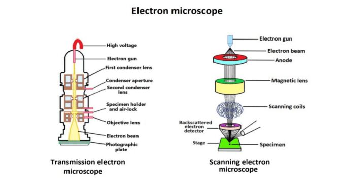 Electron microscope