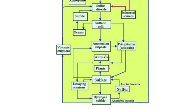 Sulfur cycle