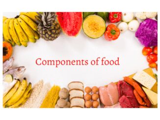 Components of food