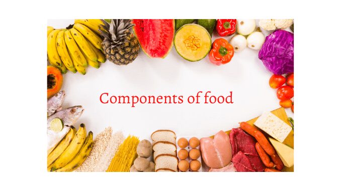 What are the main components of food | Science Query