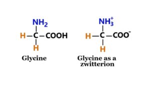 Glycine