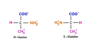 Alanine