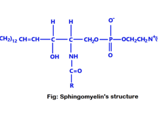 sphingomyelins