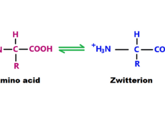 zwitterion