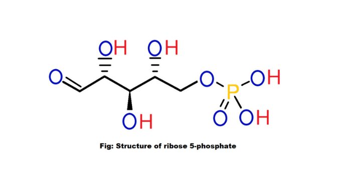 Ribose 5-phosphate