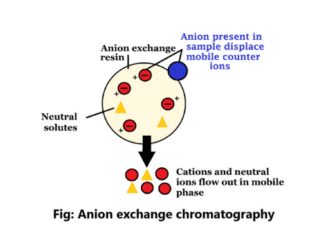 Anion exchange chromatography