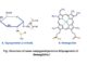 Conjugated proteins