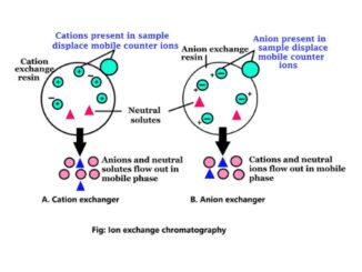 Ion exchange chromatography