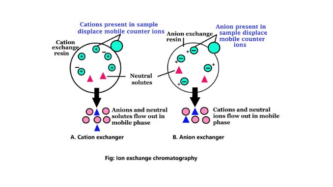 Ion exchange chromatography