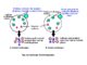 Ion exchange chromatography