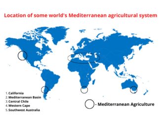 Mediterranean agriculture