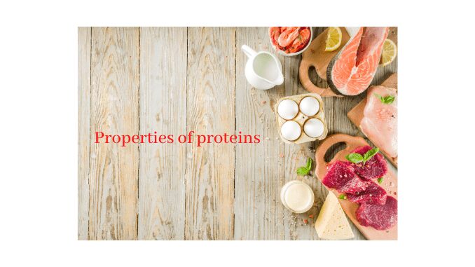 Properties of proteins