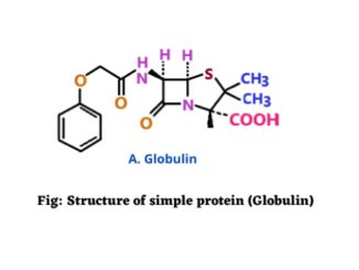 Simple proteins