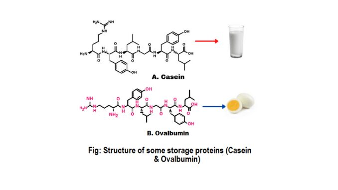 Storage proteins