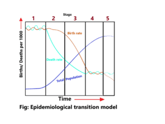 epidemiological transition model