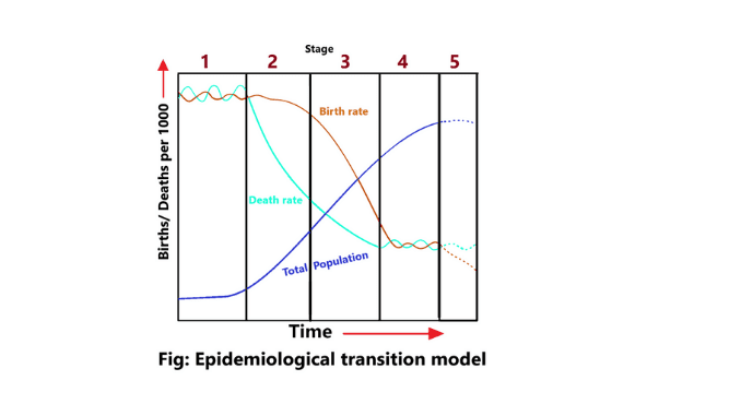 what-is-the-epidemiological-transition-model-science-query