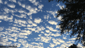 Altocumulus