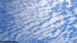 Cirrocumulus