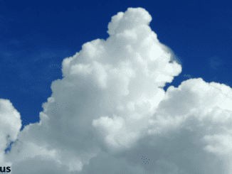 Cumulus cloud