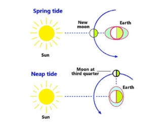 Types of tides