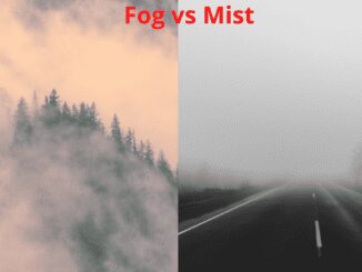 Fog vs mist