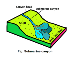 Submarine canyons