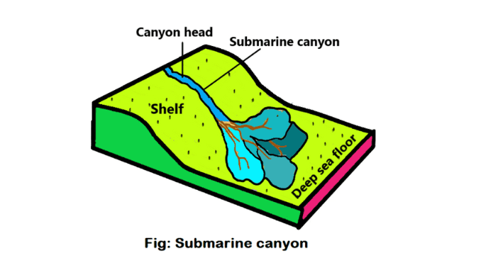 Submarine canyons definition and discussion - ScienceQuery