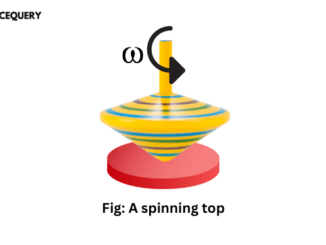 instantaneous angular velocity