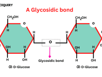 Biochemistry | Science Query