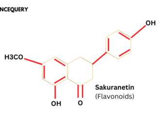 secondary metabolites