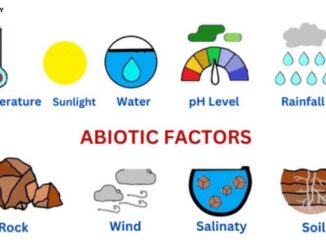 Abiotic factors