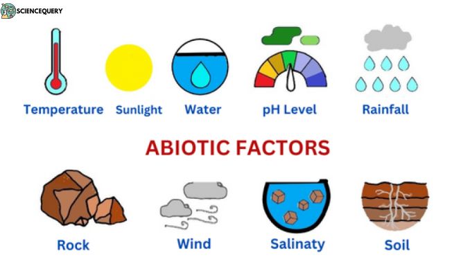 Abiotic factors - Science Query