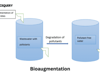 Bioaugmentation