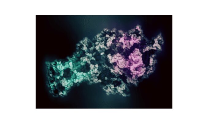 Flavoproteins