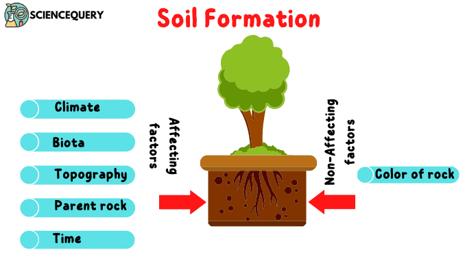 Soil formation