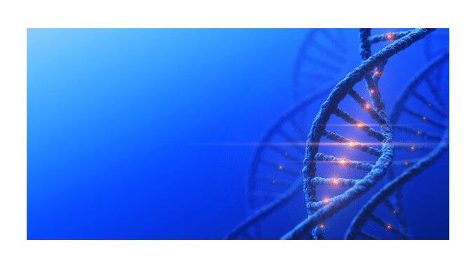 Synthesis of cDNA